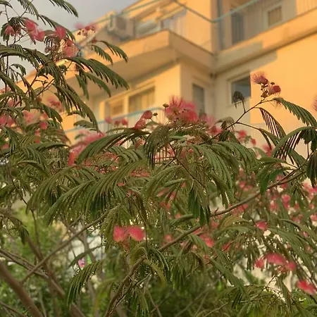 Guest house Lilia