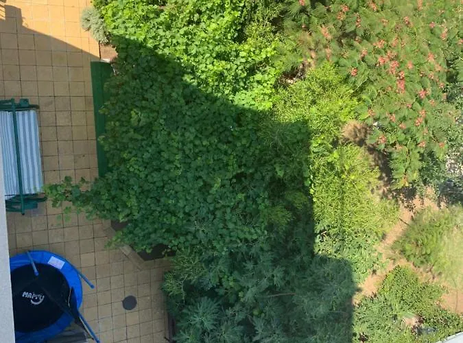 Lilia 4* Νεσέμπαρ